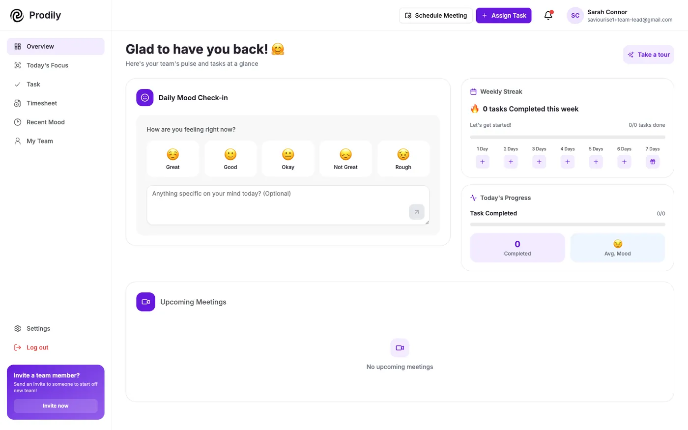Prodily team lead dashboard with mood check-in, weekly streak and today's progress